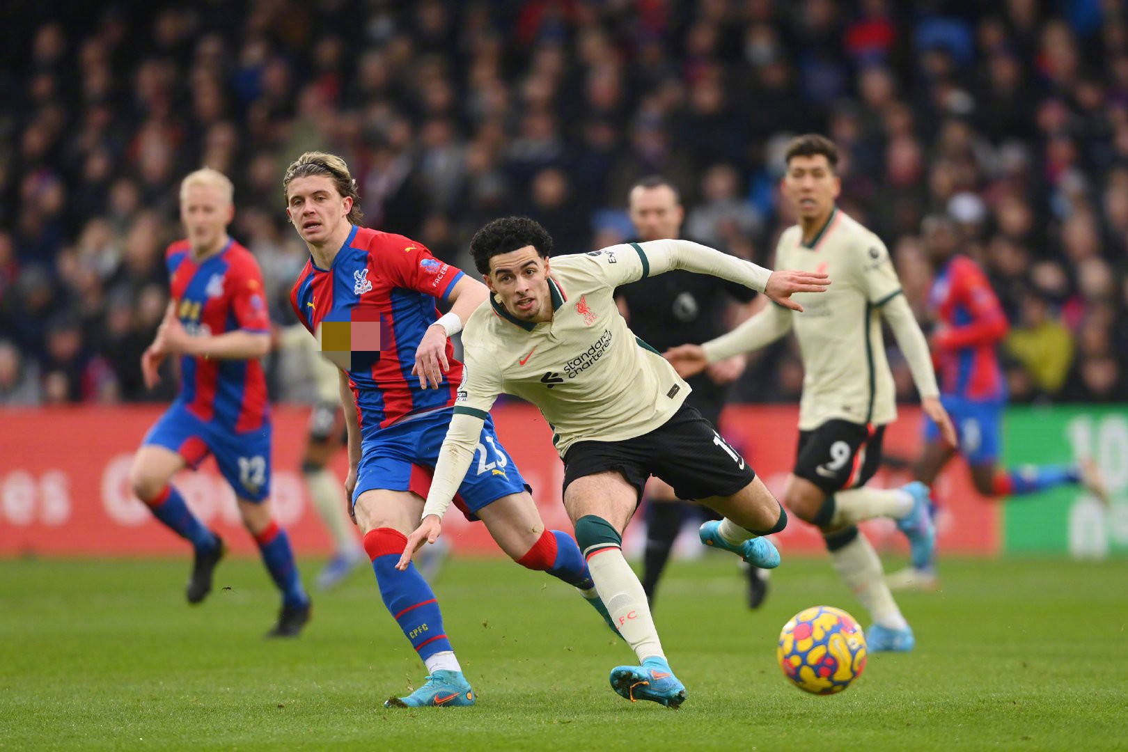 的执法下掀 的执法下掀